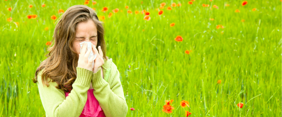 Air purifiers for hay fever: Stay safe this allergy season